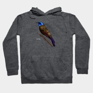 Common Grackle Hoodie